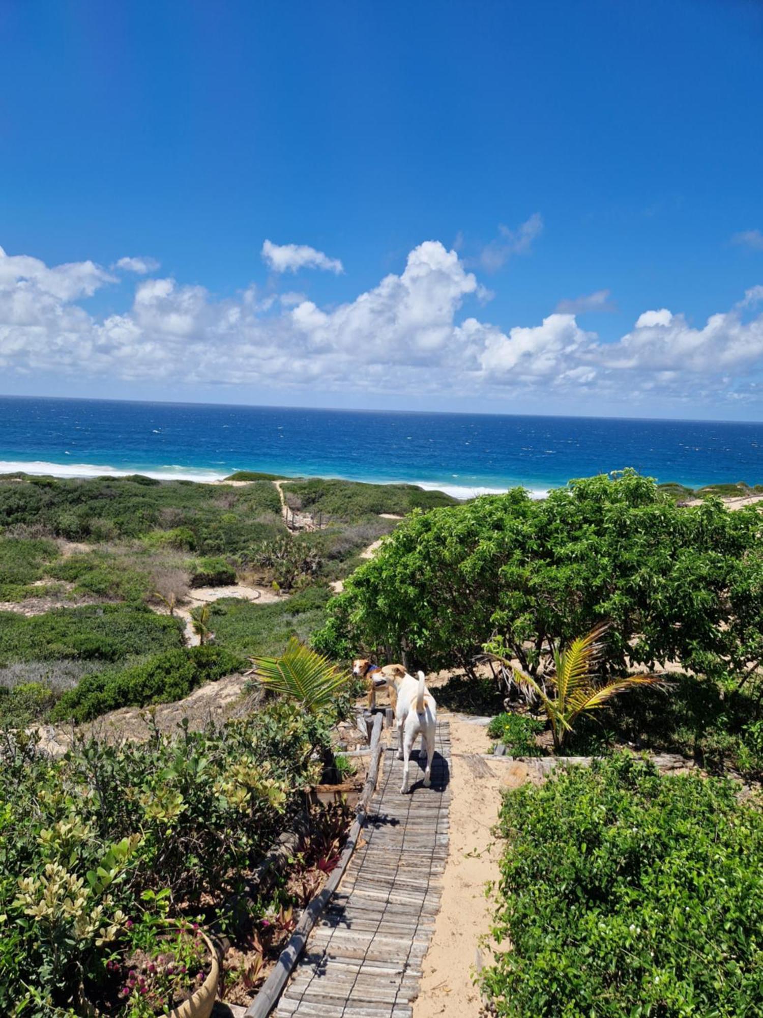 Mar-Me-Quer, Eco Beach Retreat Іньямбане Екстер'єр фото