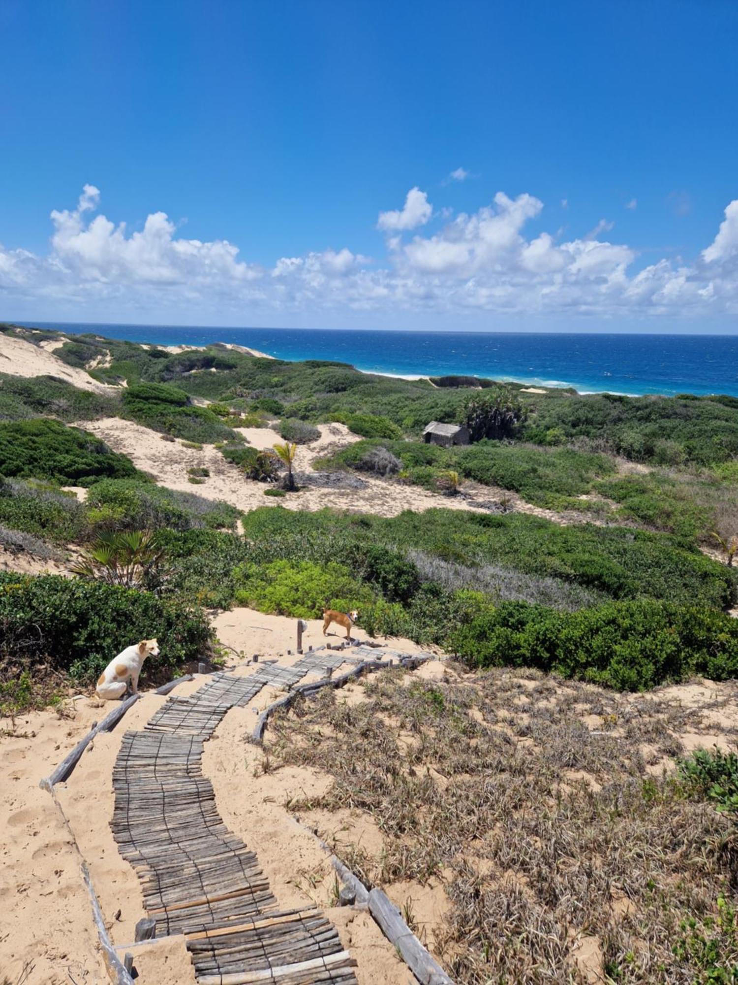 Mar-Me-Quer, Eco Beach Retreat Іньямбане Екстер'єр фото